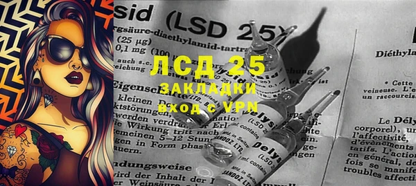 ГАЛЛЮЦИНОГЕННЫЕ ГРИБЫ Алексин