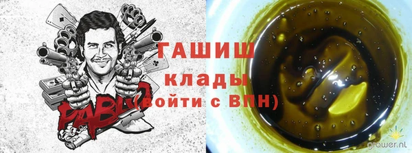 ГАЛЛЮЦИНОГЕННЫЕ ГРИБЫ Алексин