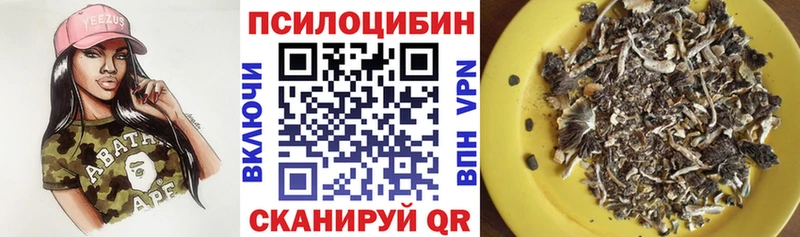 Псилоцибиновые грибы MAGIC MUSHROOMS Жиздра