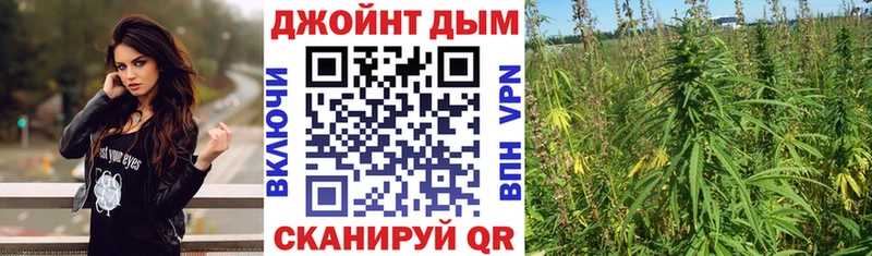 закладка ОМГ ОМГ маркетплейс Бошки марихуана Bruce Banner Жиздра